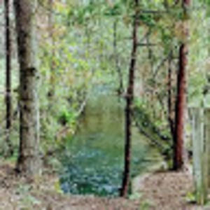 Meet your Posher, Seth